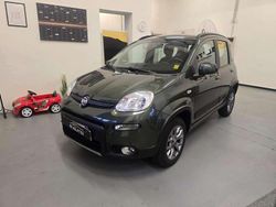 Verde Usata 2019 Fiat Panda 4x4 S Due volumi | 12.900 € (Buon prezzo)
