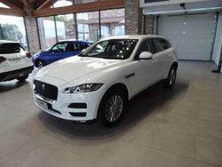 Bianco Usata 2017 Jaguar F-Pace Pure SUV | 14.500 € (Super prezzo)