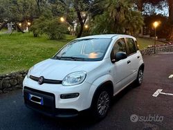 Bianco Usata 2022 Fiat Panda Due volumi | 9900 € (Ottimo prezzo)