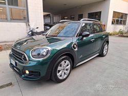 Verde Usata 2018 Mini Countryman SUV | 15.900 € (Ottimo prezzo)