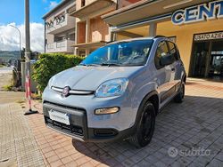 Grigio Usata 2019 Fiat Panda 4x4 S Due volumi | 10.490 € (Buon prezzo)