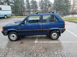 Blu Usata 2002 Fiat Panda 4x4 Club Due volumi | 6000 € (Ottimo prezzo)