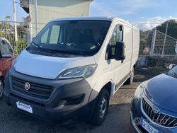 Bianco Usata 2020 Fiat Ducato Furgone | 12.900 € (Super prezzo)