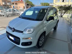 Bianco Usata 2021 Fiat Panda Pop Due volumi | 6990 € (Ottimo prezzo)