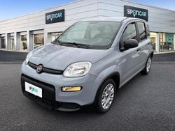 Grigio Usata 2022 Fiat Panda S Due volumi | 10.600 € (Buon prezzo)