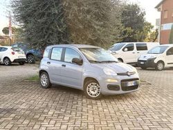 Grigio Usata 2022 Fiat Panda Due volumi | 9500 € (Buon prezzo)
