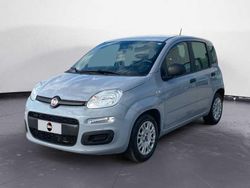 Grigio Usata 2020 Fiat Panda Easy | 10.900 € (Buon prezzo)
