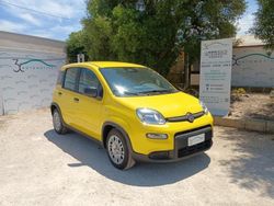 Giallo Usata 2024 Fiat Panda Due volumi | 11.700 € (Buon prezzo)