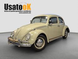 Beige Usata 1964 VW Maggiolino | 17.500 €
