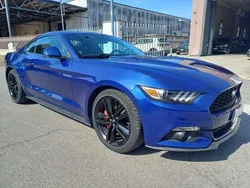 Blu Usata 2016 Ford Mustang Fastback Coupé | 27.500 € (Ottimo prezzo)