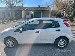 Bianco Usata 2014 Fiat Punto Street Tre volumi | 5500 € (Buon prezzo)