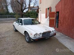 Bianco Usata 1980 Jaguar XJ6 Tre volumi | 12.000 €