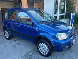 Blu/azzurro Usata 2005 Fiat Panda 4x4 Climbing Due volumi | 4900 € (Cara)