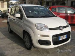 Bianco Usata 2017 Fiat Panda Due volumi | 9800 € (Molto cara)