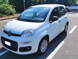 Bianco Usata 2020 Fiat Panda Due volumi | 9000 € (Buon prezzo)