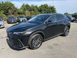 Grigio Usata 2023 Lexus NX450h+ SUV | 44.900 € (Ottimo prezzo)