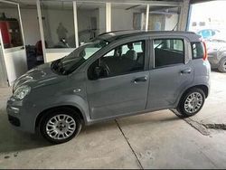 Grigio Usata 2022 Fiat Panda Due volumi | 9600 € (Ottimo prezzo)