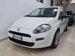 Bianco Usata 2018 Fiat Punto Lounge Due volumi | 5500 € (Ottimo prezzo)