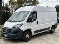 Bianco Usata 2020 Fiat Ducato Furgone | 15.900 € (Buon prezzo)