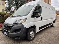 Bianco Usata 2023 Opel Movano S Furgone | 13.900 € (Super prezzo)