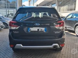 Grigio Usata 2020 Subaru Forester Premium SUV | 29.500 € (Cara)