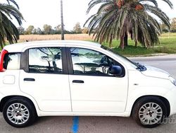 Bianco Usata 2015 Fiat Panda Due volumi | 4900 € (Buon prezzo)
