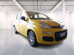 Colore giallo Usata 2025 Fiat Panda S Due volumi | 11.500 € (Ottimo prezzo)