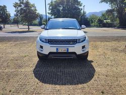 Bianco Usata 2014 Land Rover Range Rover evoque Pure SUV | 13.000 € (Buon prezzo)