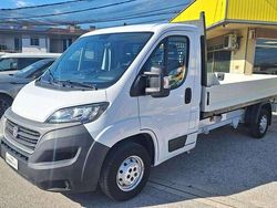 Bianco pastello Usata 2020 Fiat Ducato Furgone | 23.000 € (Molto cara)