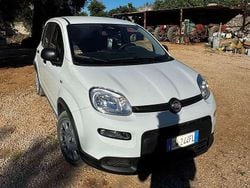 Bianco Usata 2024 Fiat Panda Due volumi | 11.500 € (Buon prezzo)