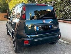 Verde Usata 2024 Fiat Panda Cross Cross Due volumi | 12.600 € (Ottimo prezzo)