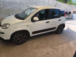Usata 2021 Fiat Panda S Due volumi | 9000 € (Ottimo prezzo)