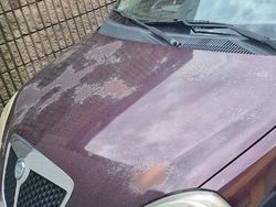 Usata 2008 Lancia Ypsilon Due volumi | 2000 €