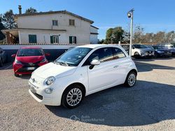 Bianco Usata 2019 Fiat 500 Pop Due volumi | 8990 € (Ottimo prezzo)