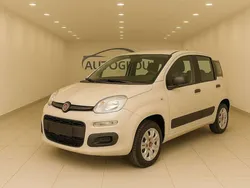 Other Usata 2015 Fiat Panda Pop Due volumi | 5200 € (Buon prezzo)