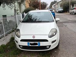 Usata 2015 Fiat Punto Tre volumi | 4000 €