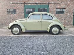 Verde Usata 1963 VW Käfer Tre volumi | 21.500 €