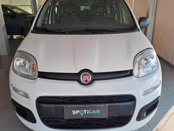 Bianco Usata 2020 Fiat Panda Easy Tre volumi | 7690 € (Super prezzo)