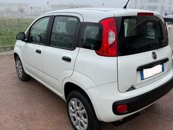 Bianco Usata 2019 Fiat Panda Due volumi | 10.000 € (Buon prezzo)