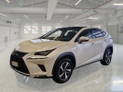 Bianco Usata 2021 Lexus NX300h Luxury Line SUV | 32.950 € (Cara)