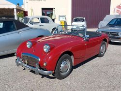 Rosso Usata 1958 Austin Healey Sprite Cabrio | 18.500 €
