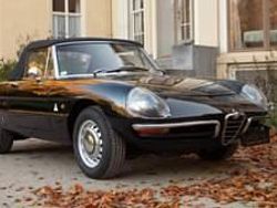 Nero Usata 1966 Alfa Romeo Spider Cabrio | 45.000 €