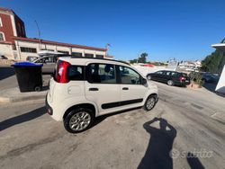 Usata 2013 Fiat Panda Due volumi | 5500 € (Molto cara)