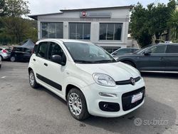 Bianco Usata 2020 Fiat Panda Easy Due volumi | 9500 € (Buon prezzo)