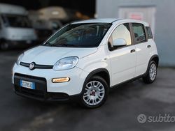 Bianco Usata 2023 Fiat Panda Tre volumi | 10.900 € (Buon prezzo)