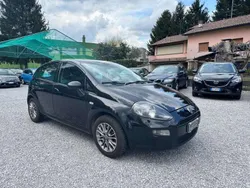 Nero Usata 2012 Fiat Punto Sport Due volumi | 4900 € (Cara)