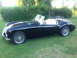 Blu Usata 1962 MG 1600 Cabrio | 45.000 €