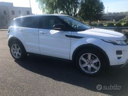 Bianco Usata 2012 Land Rover Range Rover evoque Dynamic SUV | 14.990 € (Molto cara)