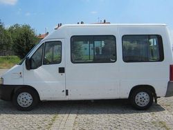Bianco Usata 2010 Fiat E-Ducato Monovolume | 3000 €