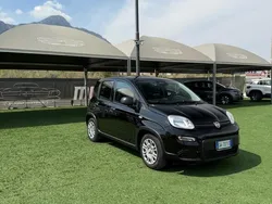 Nero Usata 2024 Fiat Panda Due volumi | 12.800 € (Buon prezzo)